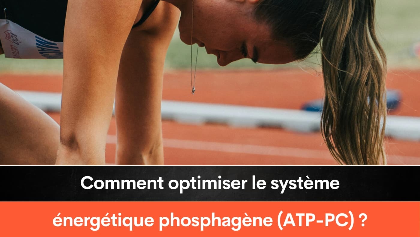 Comment optimiser le système énergétique phosphagène (ATP-PC) ?