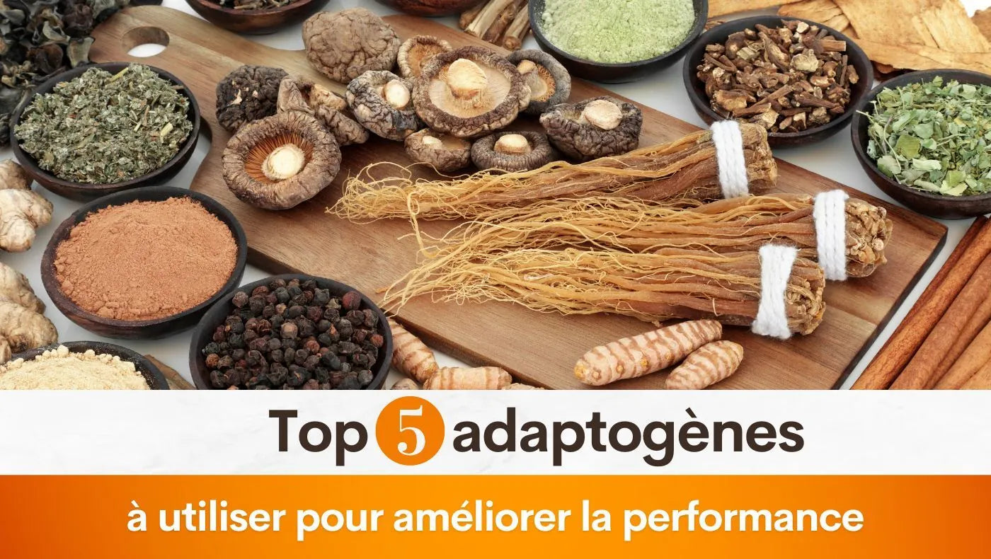 Top 5 adaptogènes à utiliser pour améliorer la performance