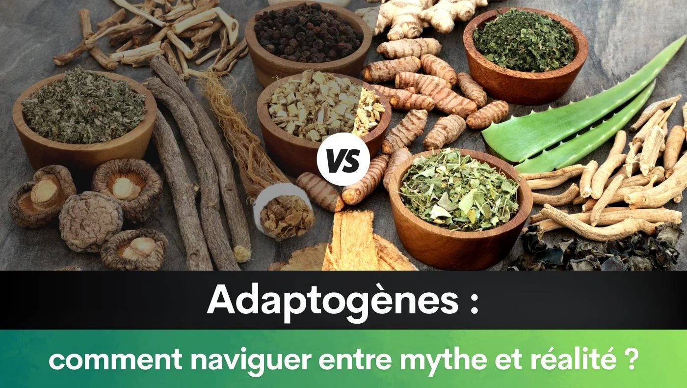 Adaptogènes : comment naviguer entre mythe et réalité ?