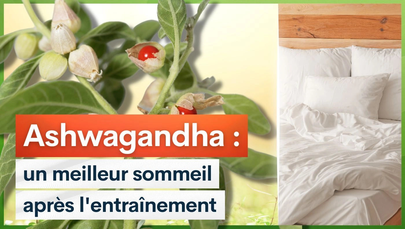 Ashwagandha : un meilleur sommeil après l'entraînement