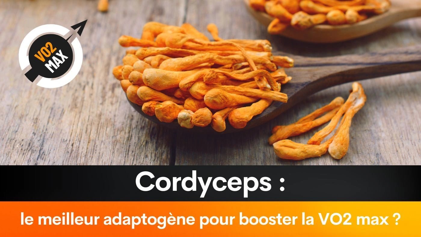 Cordyceps : le meilleur adaptogène pour booster la VO2 max ?