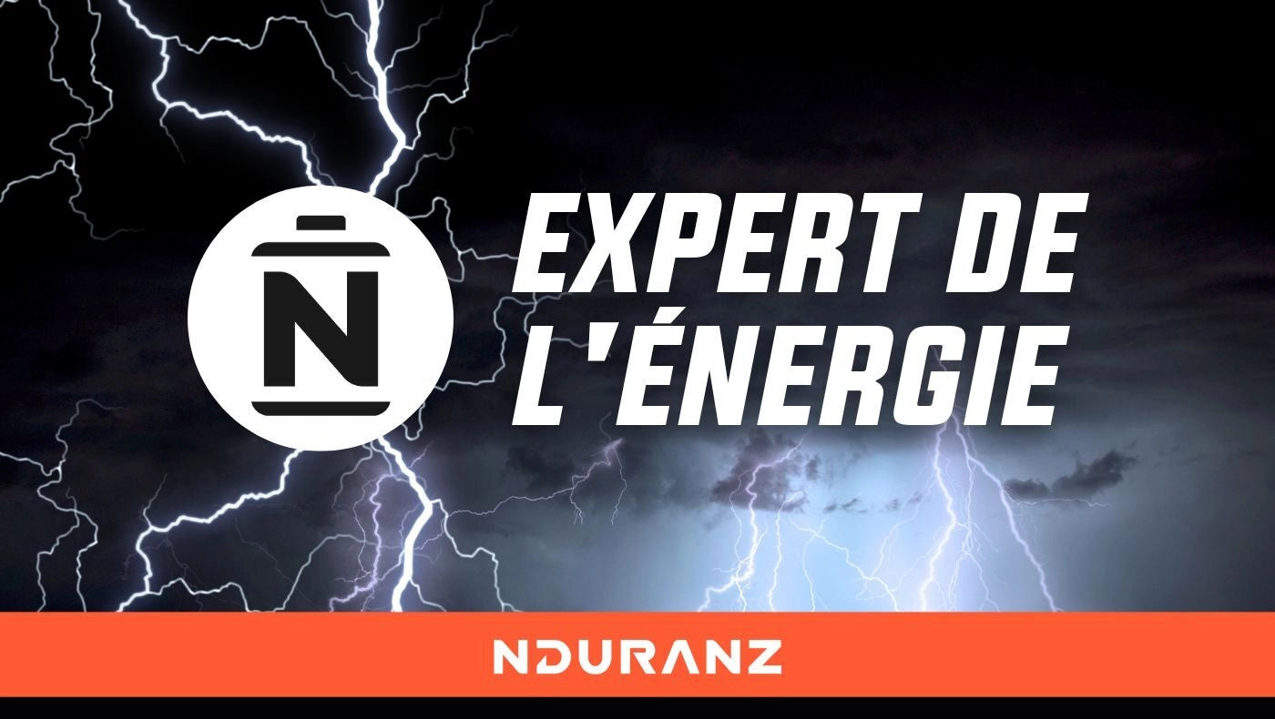 Expert de l'énergie