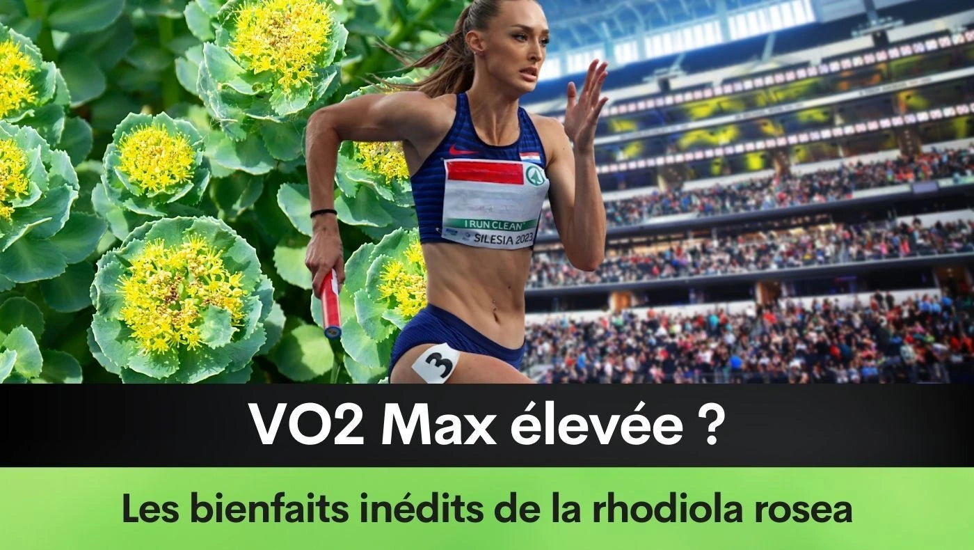 VO2 Max élevée ? Les bienfaits inédits de la rhodiola rosea