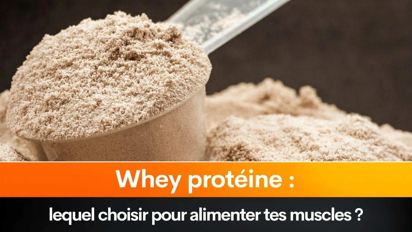 Whey protéine : lequel choisir pour alimenter tes muscles ?