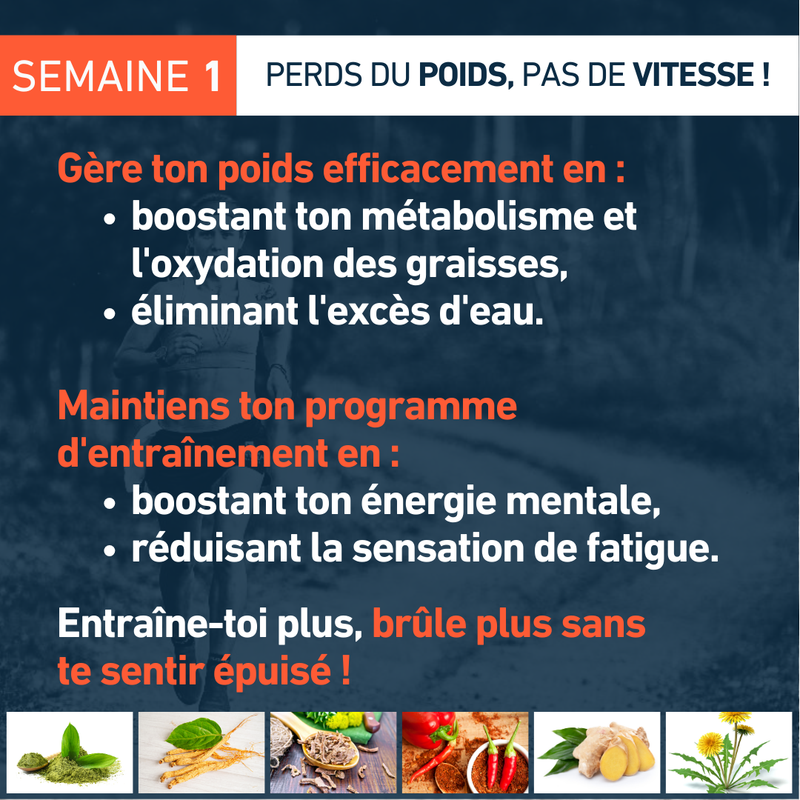 Fusion_Brûleur de graisses_VO2_max_4Endurance_Pro