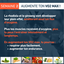 Fusion_Brûleur de graisses_VO2_max_4Endurance_Pro
