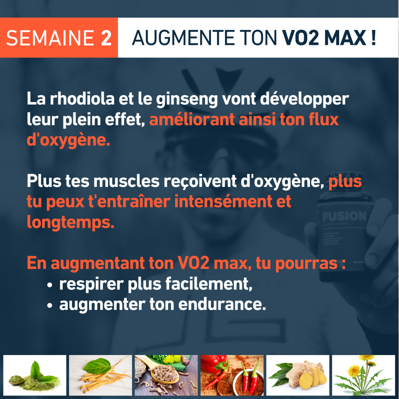 Fusion_Brûleur de graisses_VO2_max_4Endurance_Pro